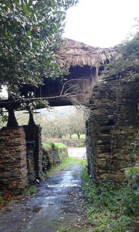 Casa Rural De Alquiler Integro La Cantina De Villarmayor-Asturias Exterior photo